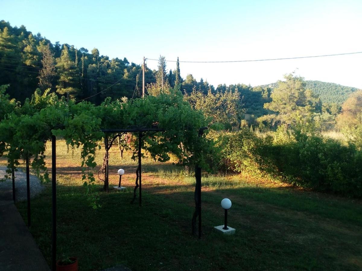 Villa Sandra Panormos  Esterno foto