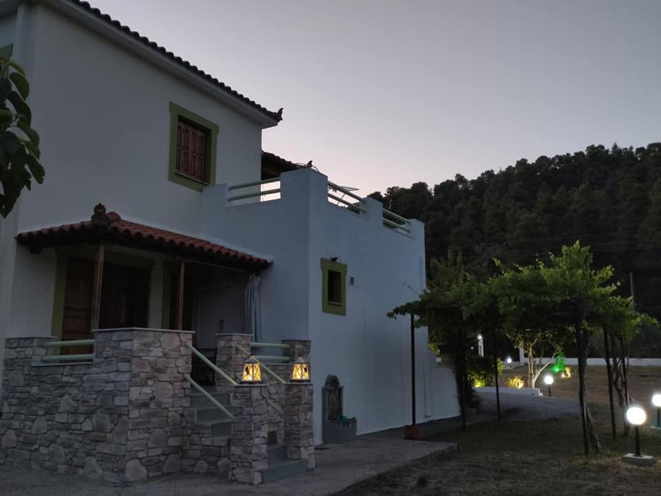 Villa Sandra Panormos  Esterno foto